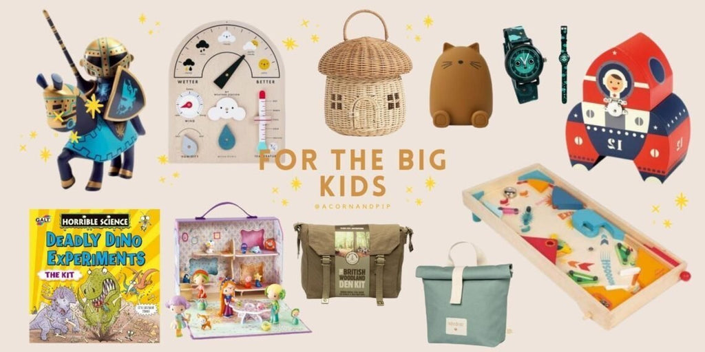 Gift Guide: The Big Kids - Acorn & Pip