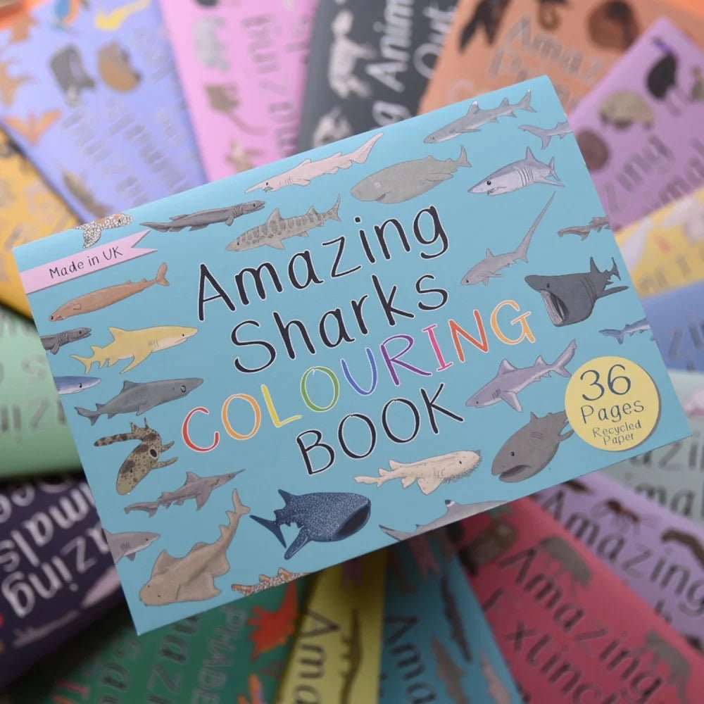 Button and Squirt: Amazing Sharks Colouring Book - Acorn & Pip_Button and Squirt