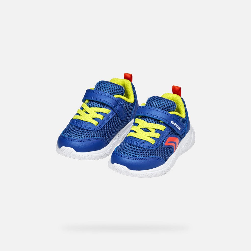 Geox: Sprintye Velcro Trainers - Royal / Red - Acorn & Pip_Geox