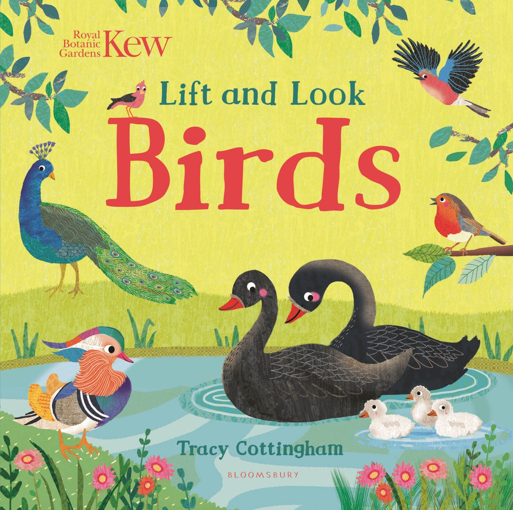 Lift And Look: Birds (HB) - Acorn & Pip_Bookspeed
