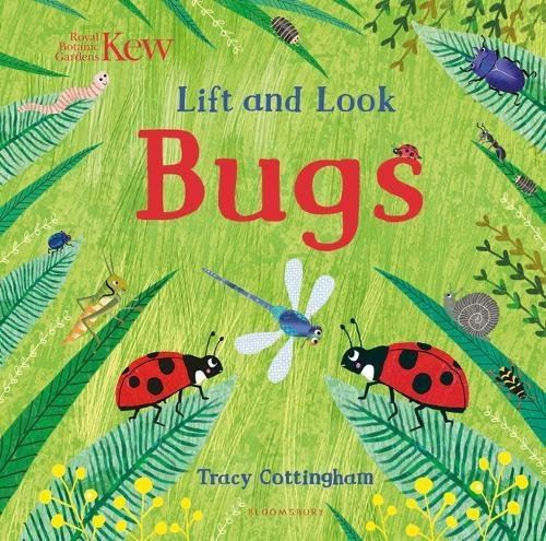Lift And Look: Bugs (HB) - Acorn & Pip_Bookspeed