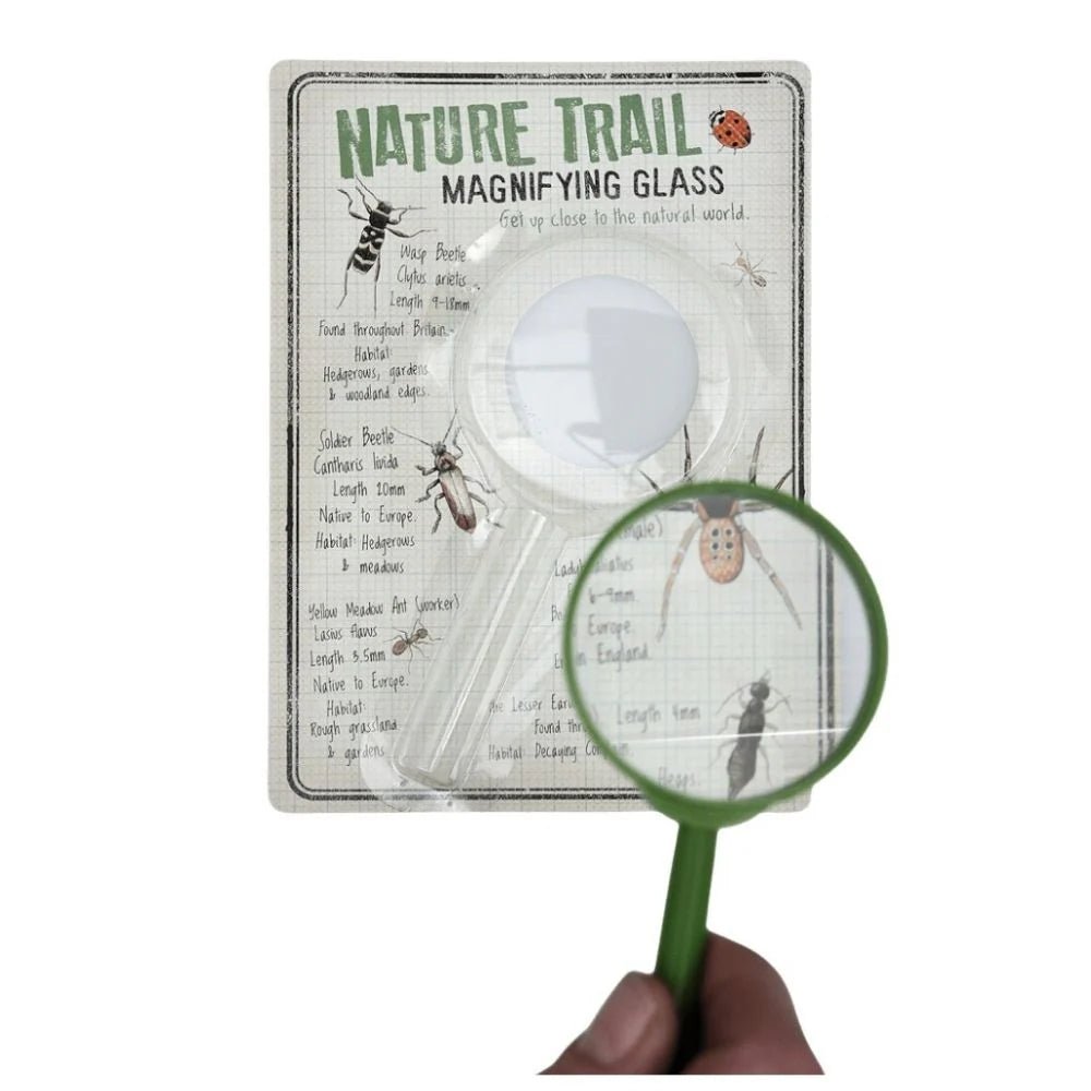 Rex: Magnifying Glass - Nature Trail - Acorn & Pip_Rex