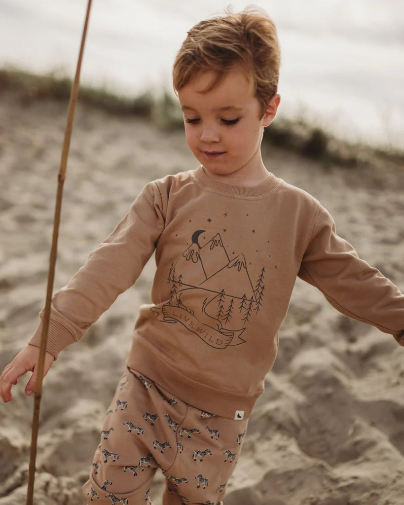 Turtledove London: Mountain Scene Motif Sweatshirt - Acorn & Pip_Turtledove London