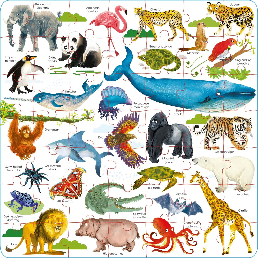 Usborne Book and Jigsaw: Wild Animals (49 Pieces) - Acorn & Pip_Bookspeed